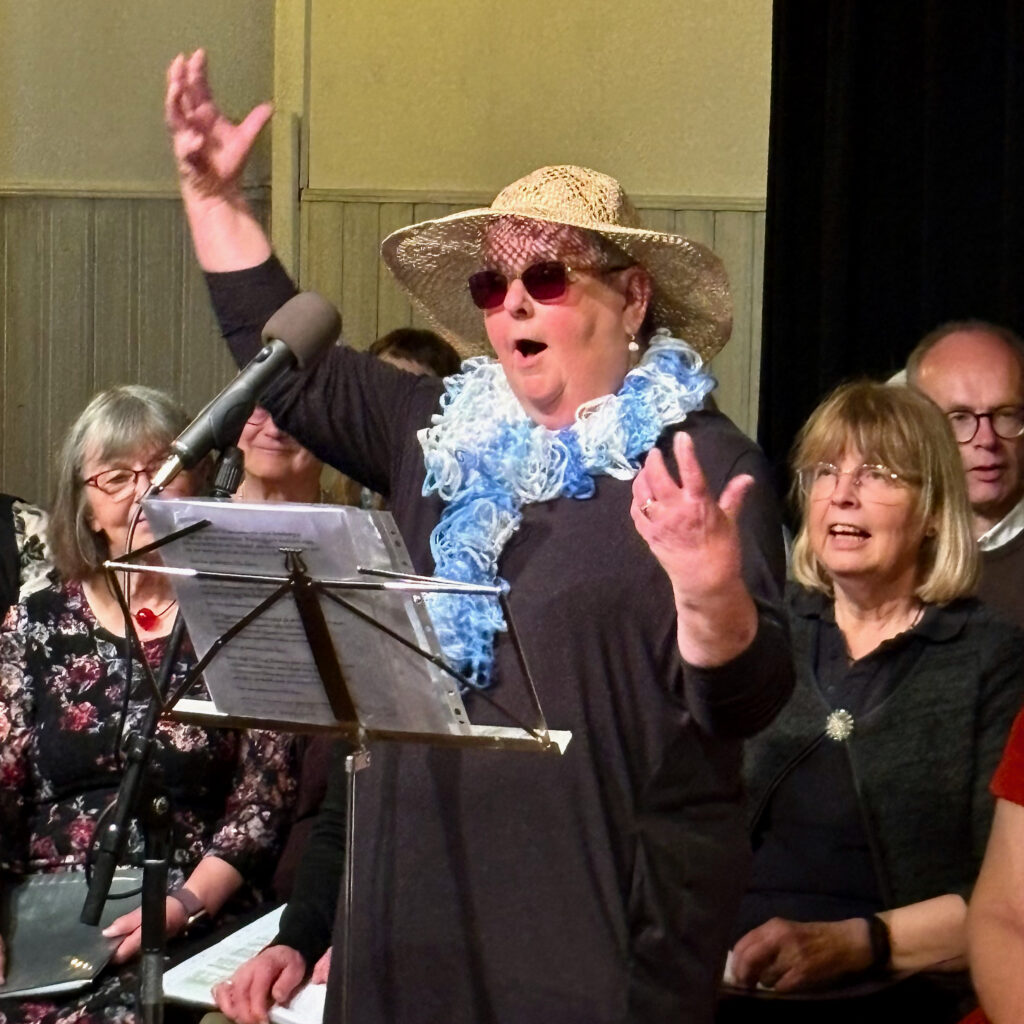 Melodikryss Vill ni se en stjärna